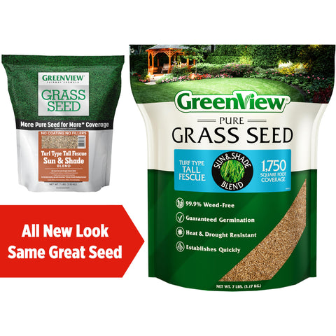 GreenView seed germination close-up shows fast germination in 10-14 days for a new lawn.