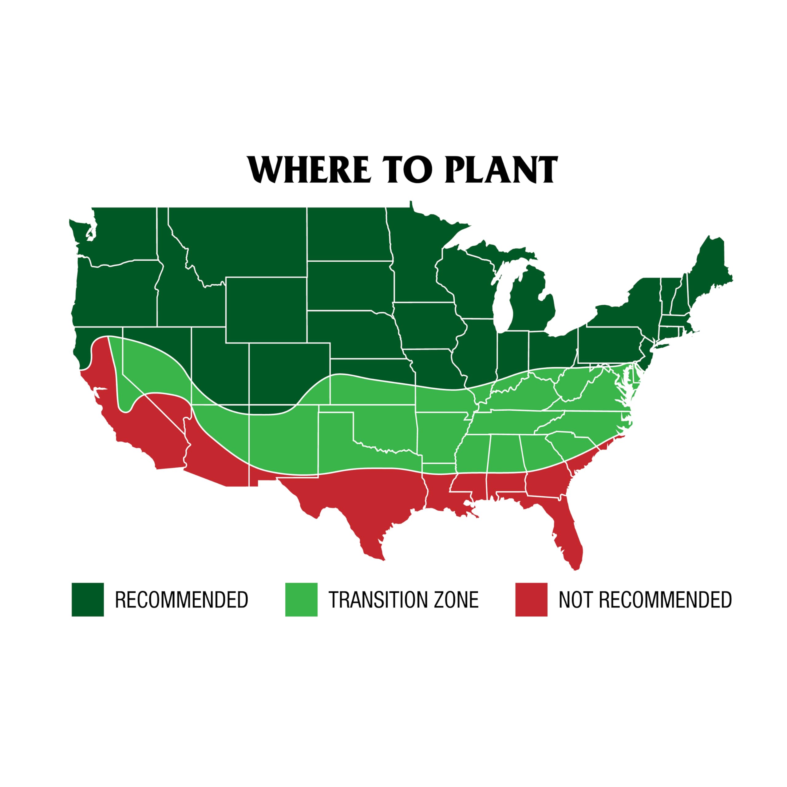 Versatile across soil types, GreenView seed adapts to common soils for homeowners.