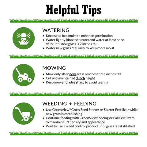 GreenView seed repairs bare spots with rapid germination in shade.