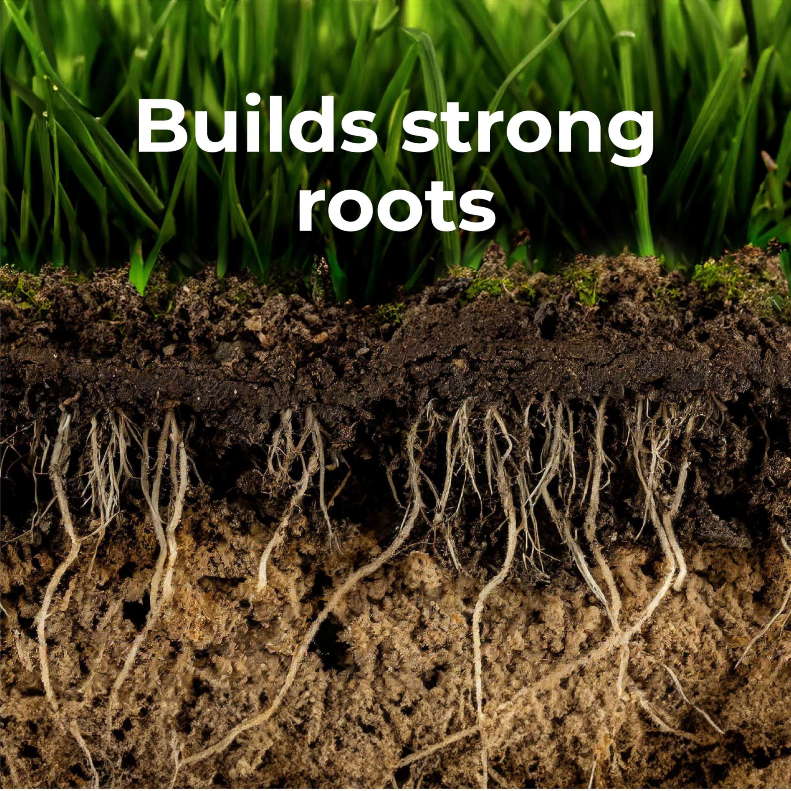 GreenView triple-release technology optimizes nutrient timing for turf.