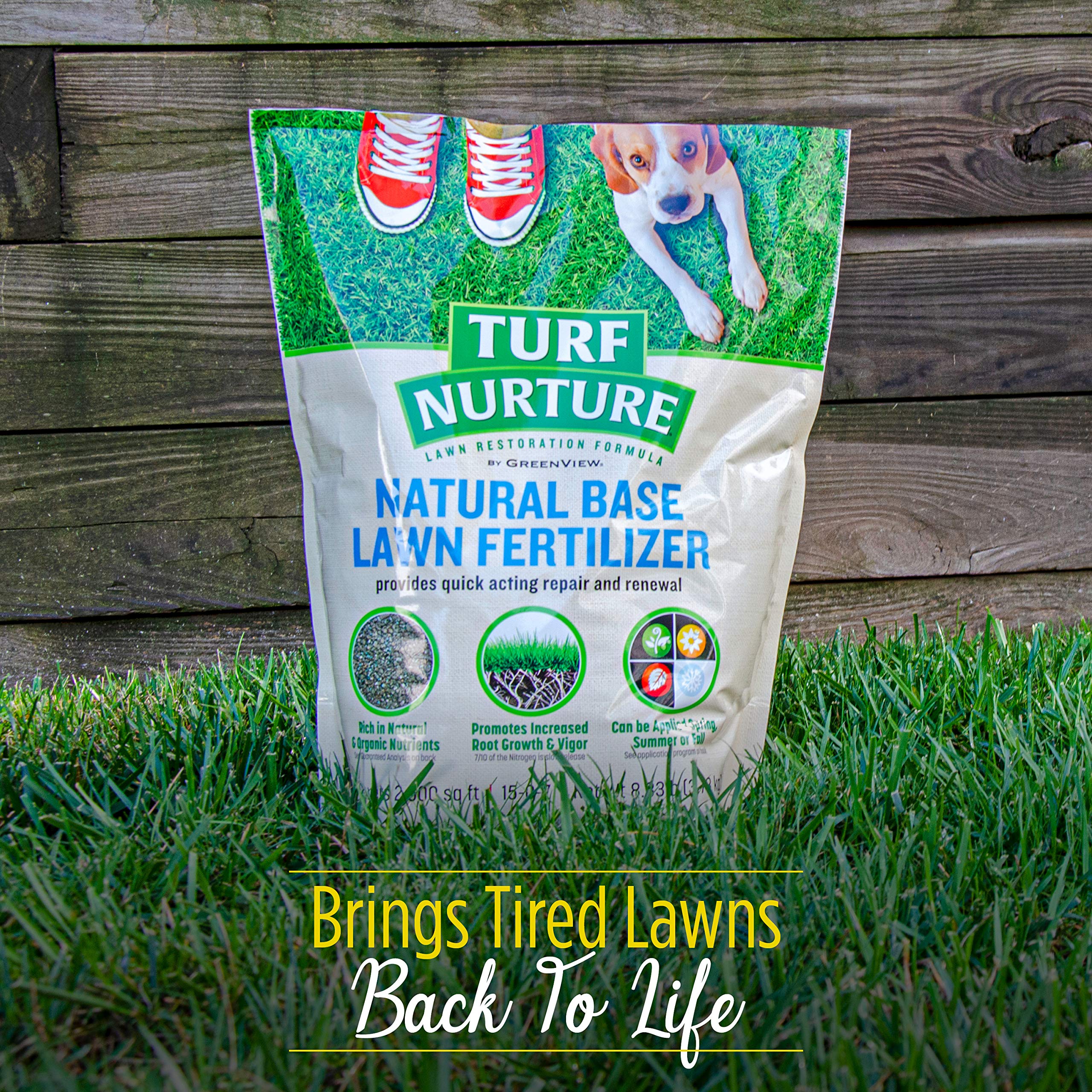 GreenView Turf Nurture root growth illustration reflects deeper, healthier roots.