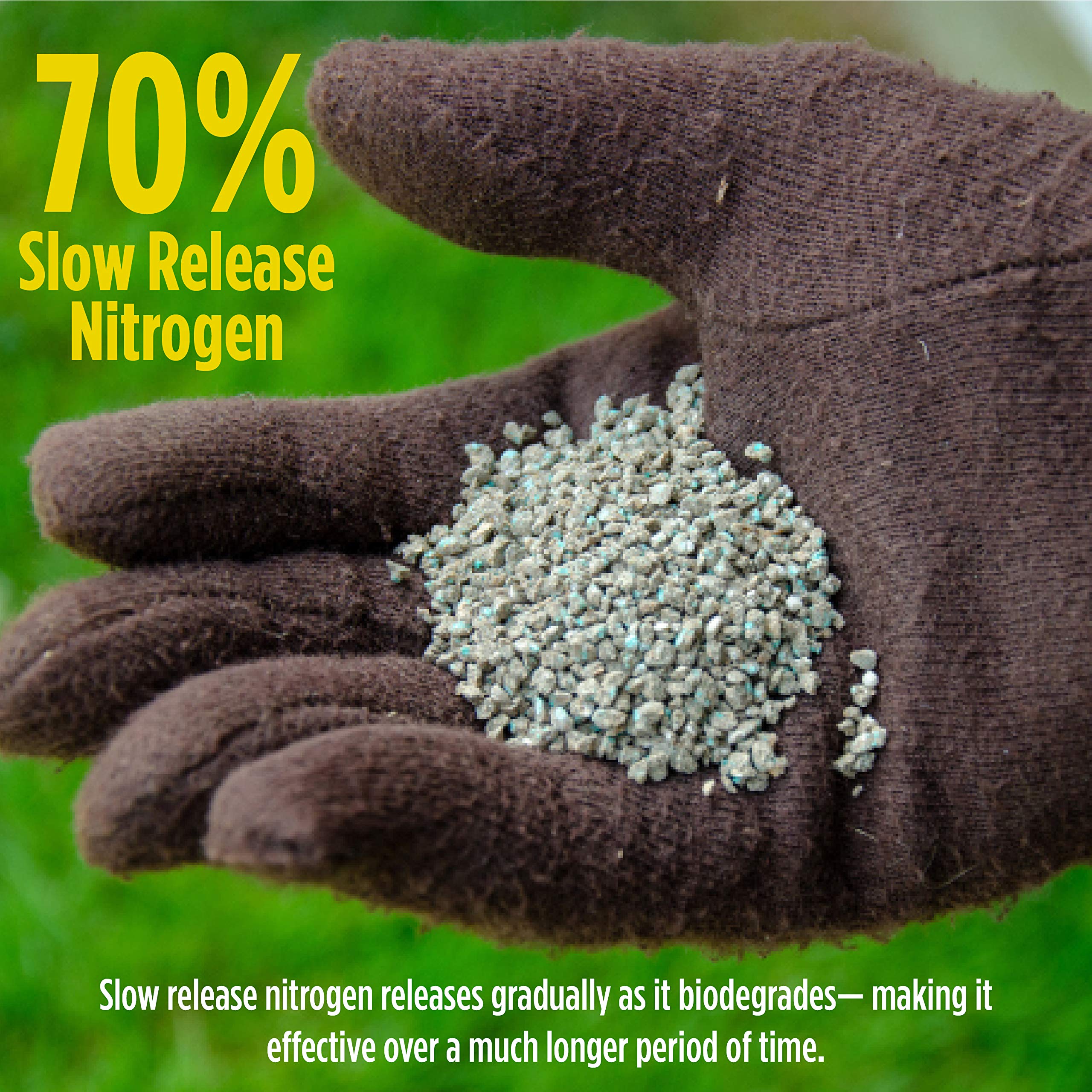 GreenView Turf Nurture being spread on lawn shows even application.