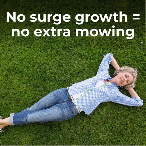 GreenView controls 40 common lawn weeds for cleaner turf.