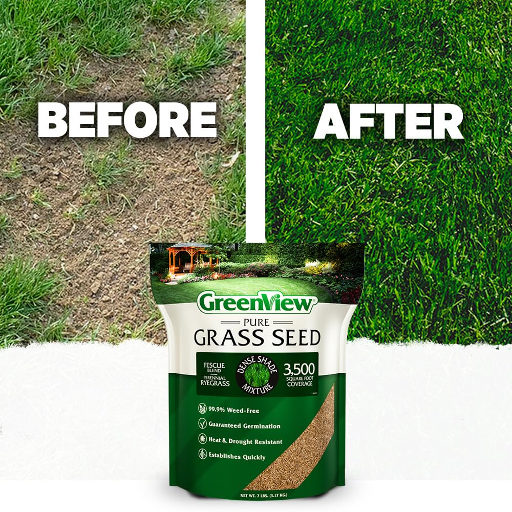 GreenView weed-free seed helps maintain a pristine shade lawn.