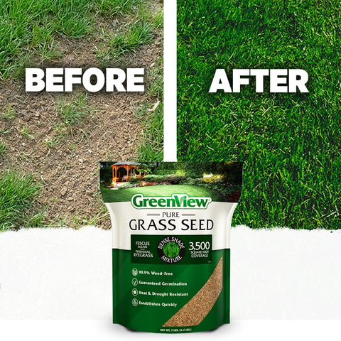 GreenView weed-free seed helps maintain a pristine shade lawn.