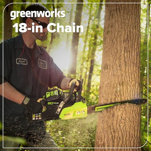 Greenworks replacement chain packaging shows model compatibility with GCS80450 and GCS80420.