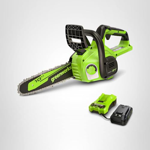 Greenworks 24V chainsaw used for storm cleanup and pruning scenarios.