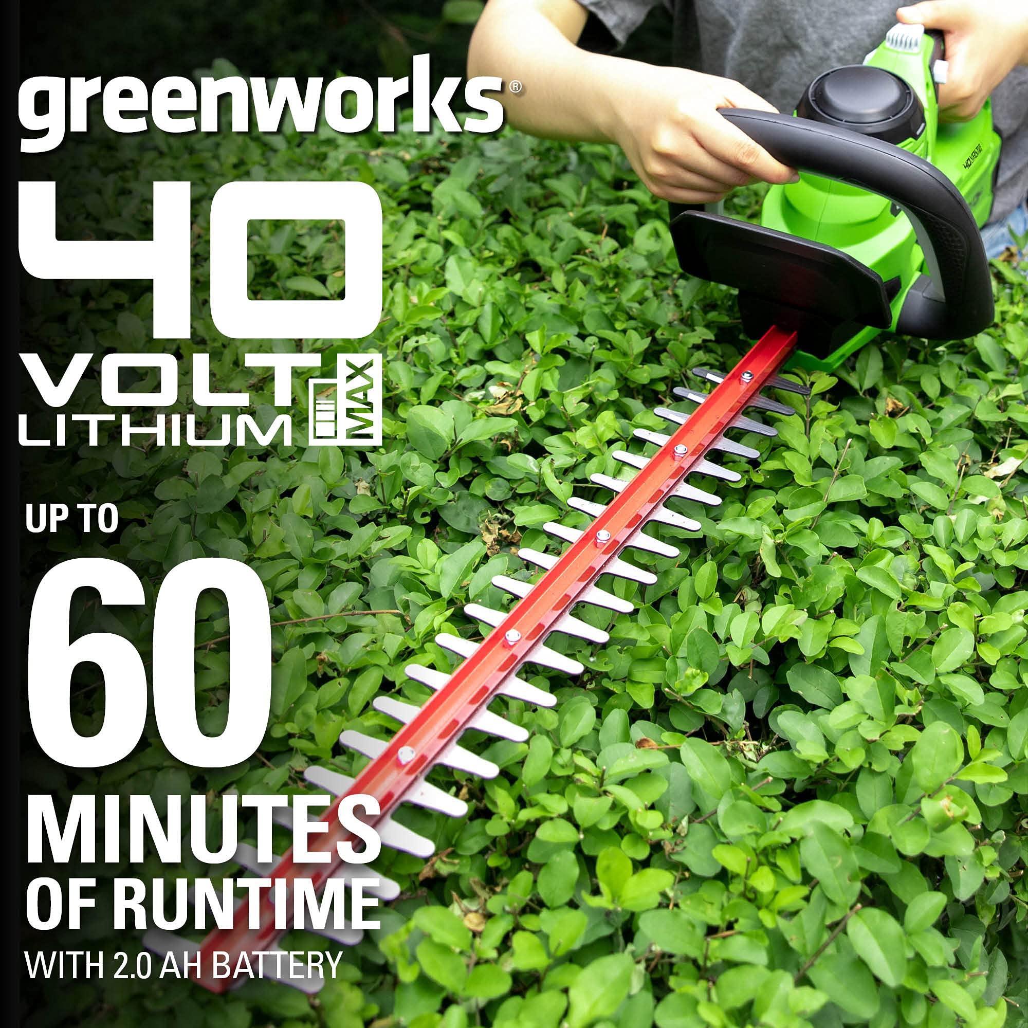 Greenworks 40V hedge trimmer blade close-up for clean cuts.