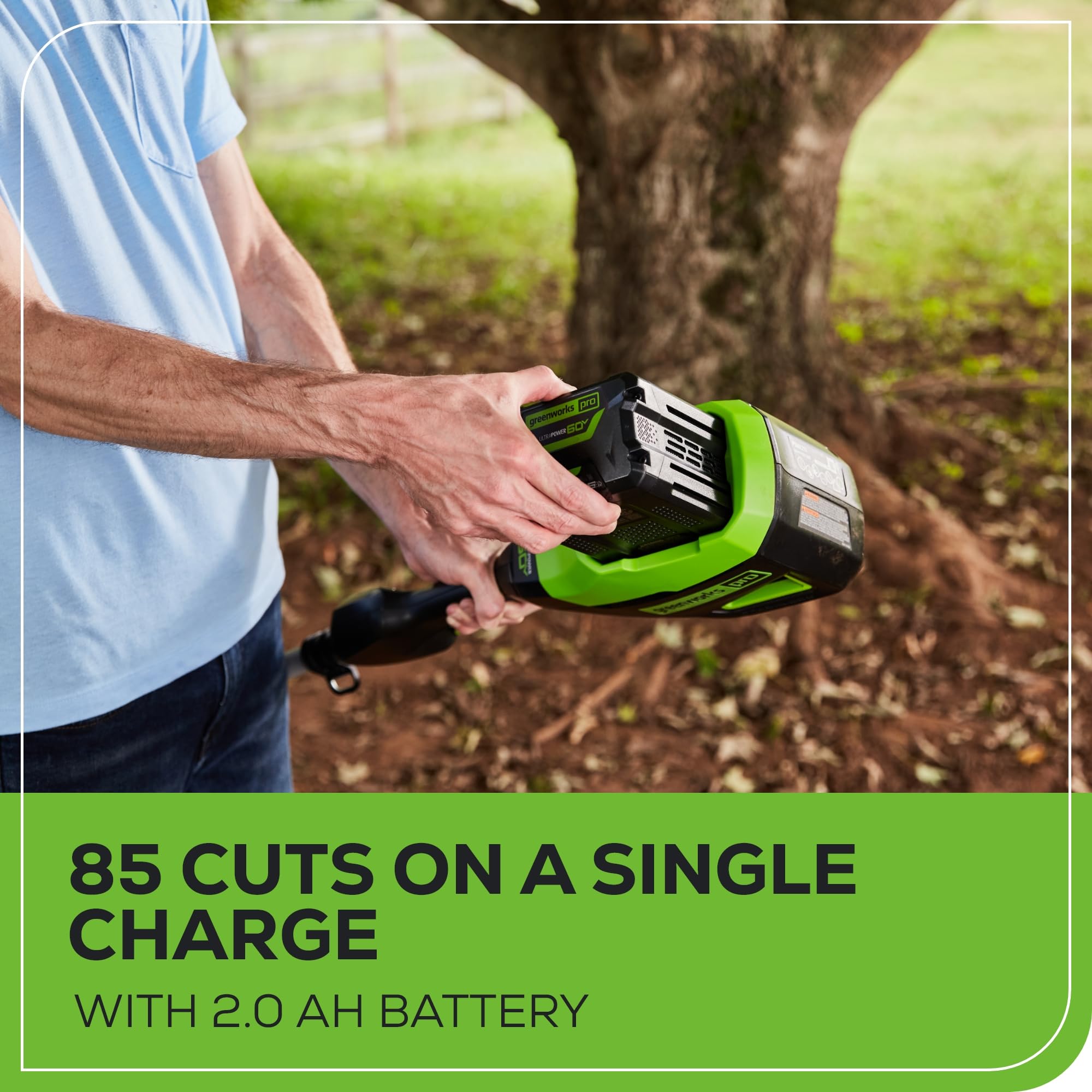 Greenworks 60V pole saw 14.5 ft reach for elevated pruning.