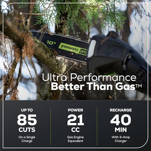 Greenworks 60V pole saw automatic oiling for steady blade performance.