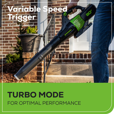 Lightweight Greenworks blower with cruise control for comfort