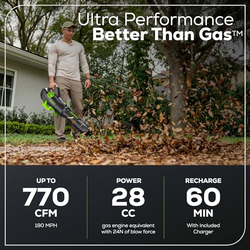 Greenworks rapid charger restores full power quickly for on-demand lawn work.
