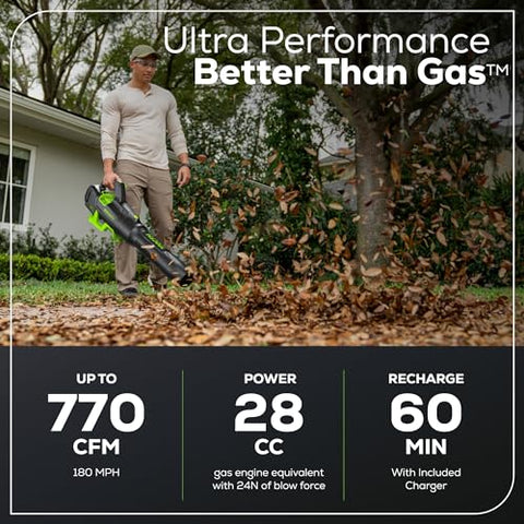Greenworks rapid charger restores full power quickly for on-demand lawn work.
