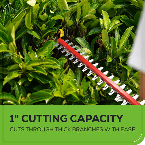 Greenworks battery ecosystem compatibility shows versatility with multiple tools.