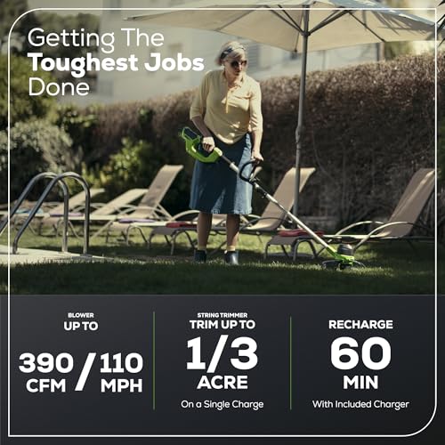 Greenworks 110mph blower clears wet leaves from driveways and patios quickly