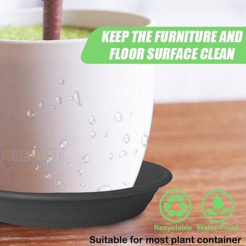 GREGICH 10-inch plastic saucer helps manage soil and water runoff.