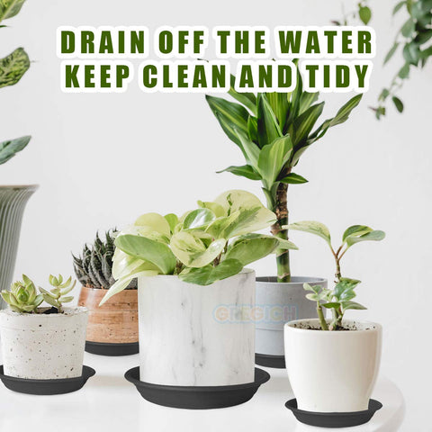GREGICH saucer stack demonstrates organized storage for pots and accessories.