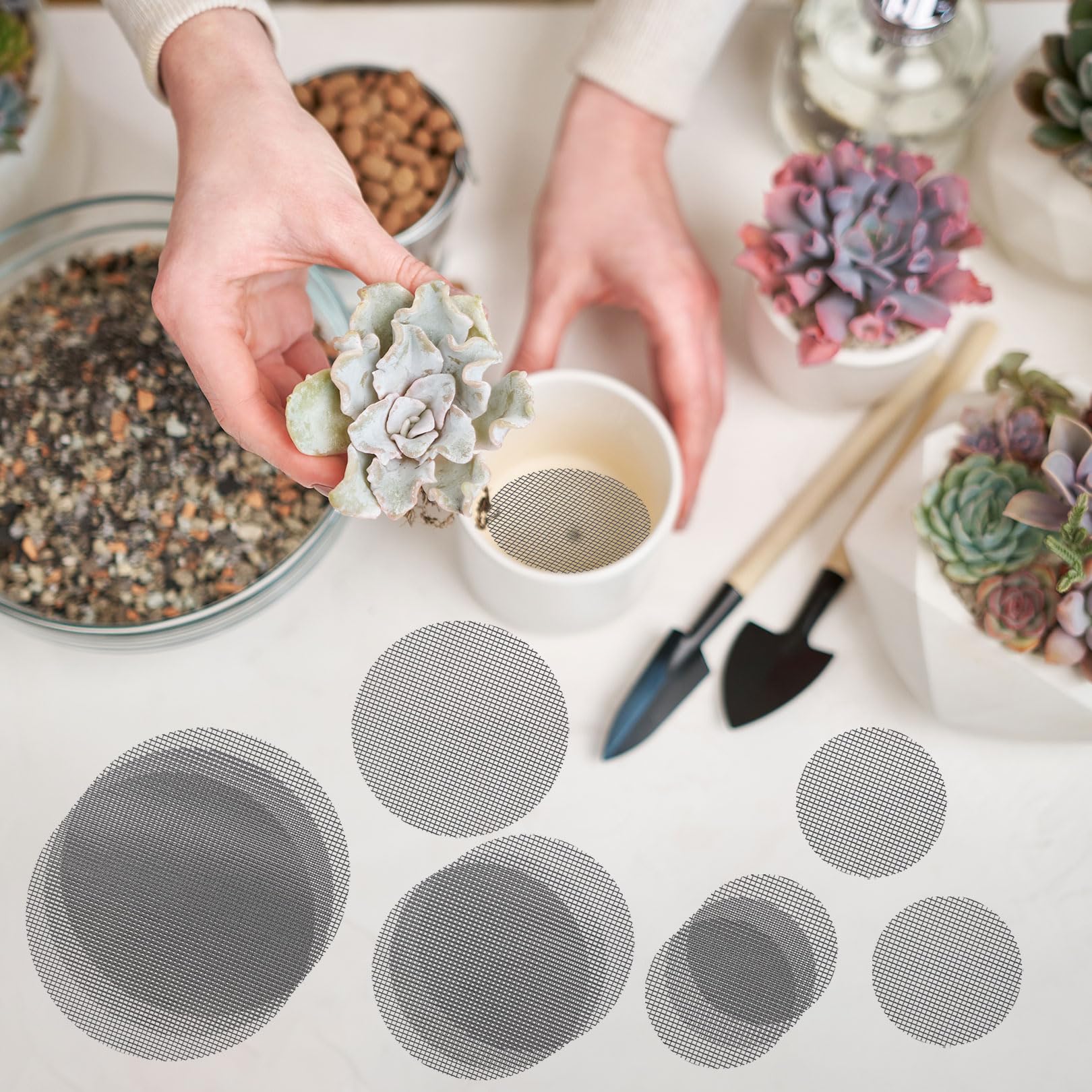GREGICH succulent pot protection mesh prevents spills and soil mess.