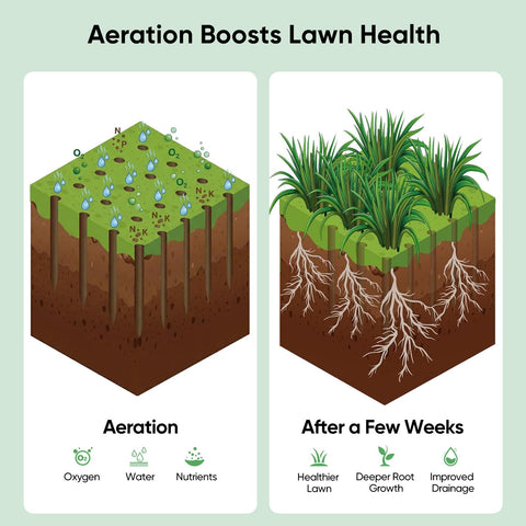 Durable 2mm steel Grenebo aerator resists rust for long-term yard work