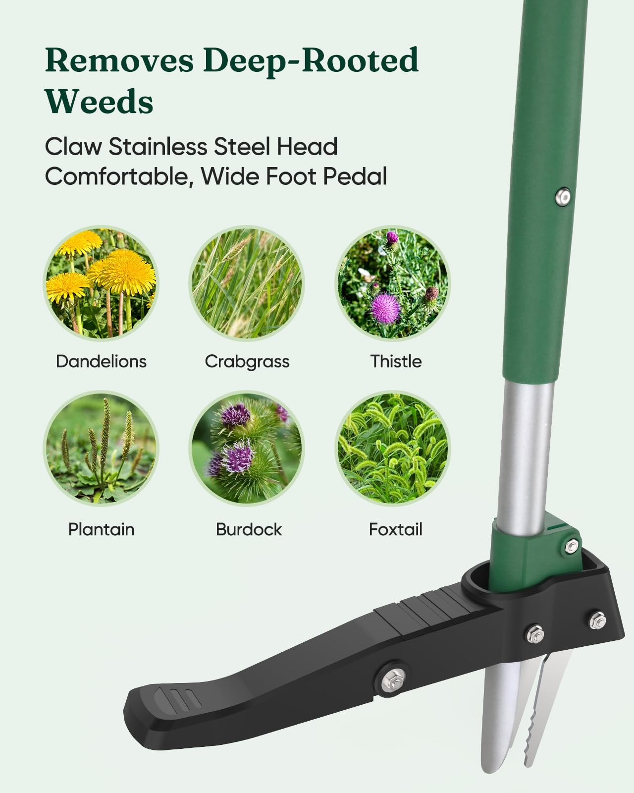 Grenebo tool safe for children and pets during gardening