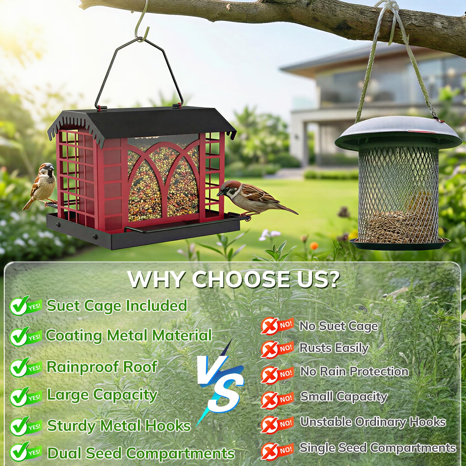 Grete Gotye feeder with 3.5 lb capacity for extended feeding sessions.
