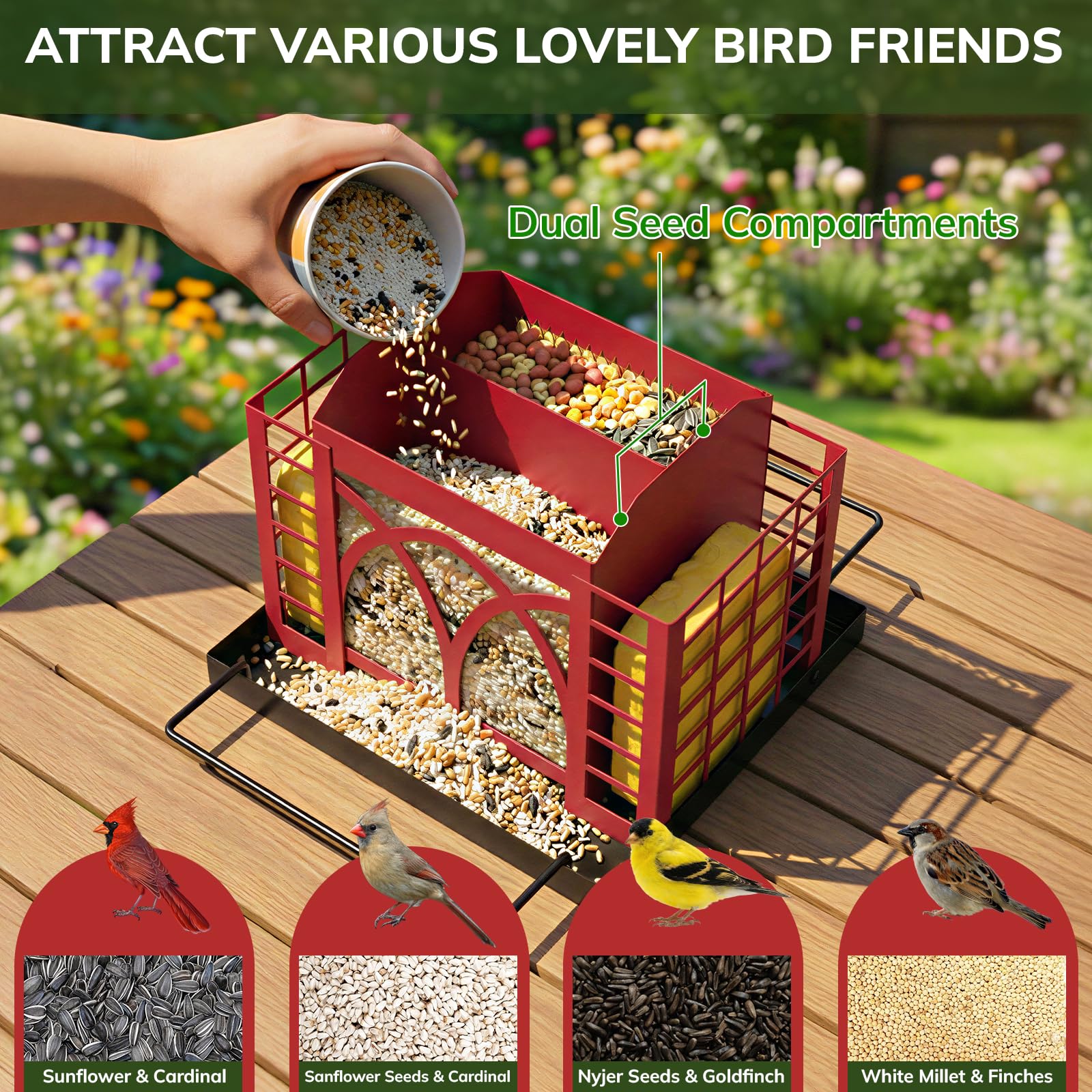 Grete Gotye bird feeder with dual seed compartments highlights 360° feeding for mixed species.