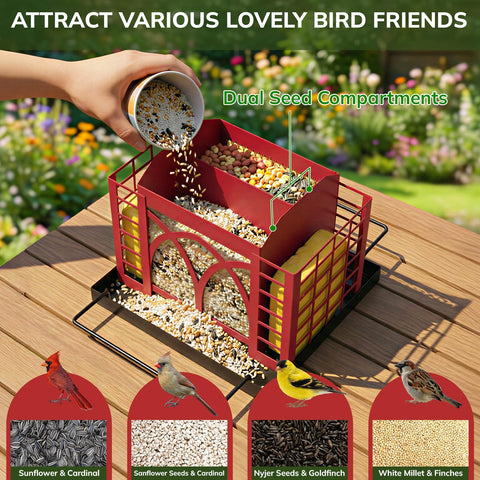 Grete Gotye bird feeder with dual seed compartments highlights 360° feeding for mixed species.