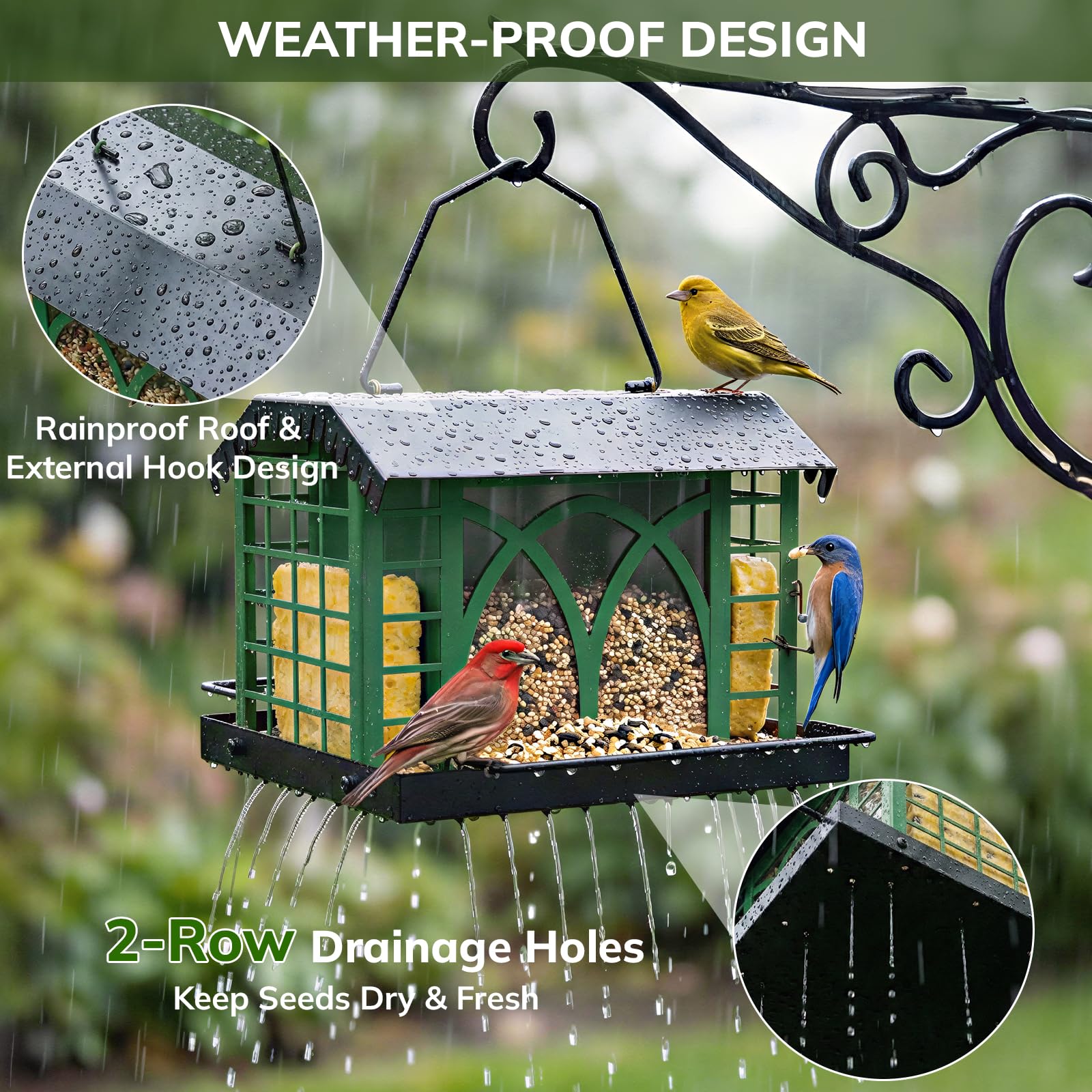Grete Gotye 2-in-1 design with automatic refill helps keep birds fed longer.