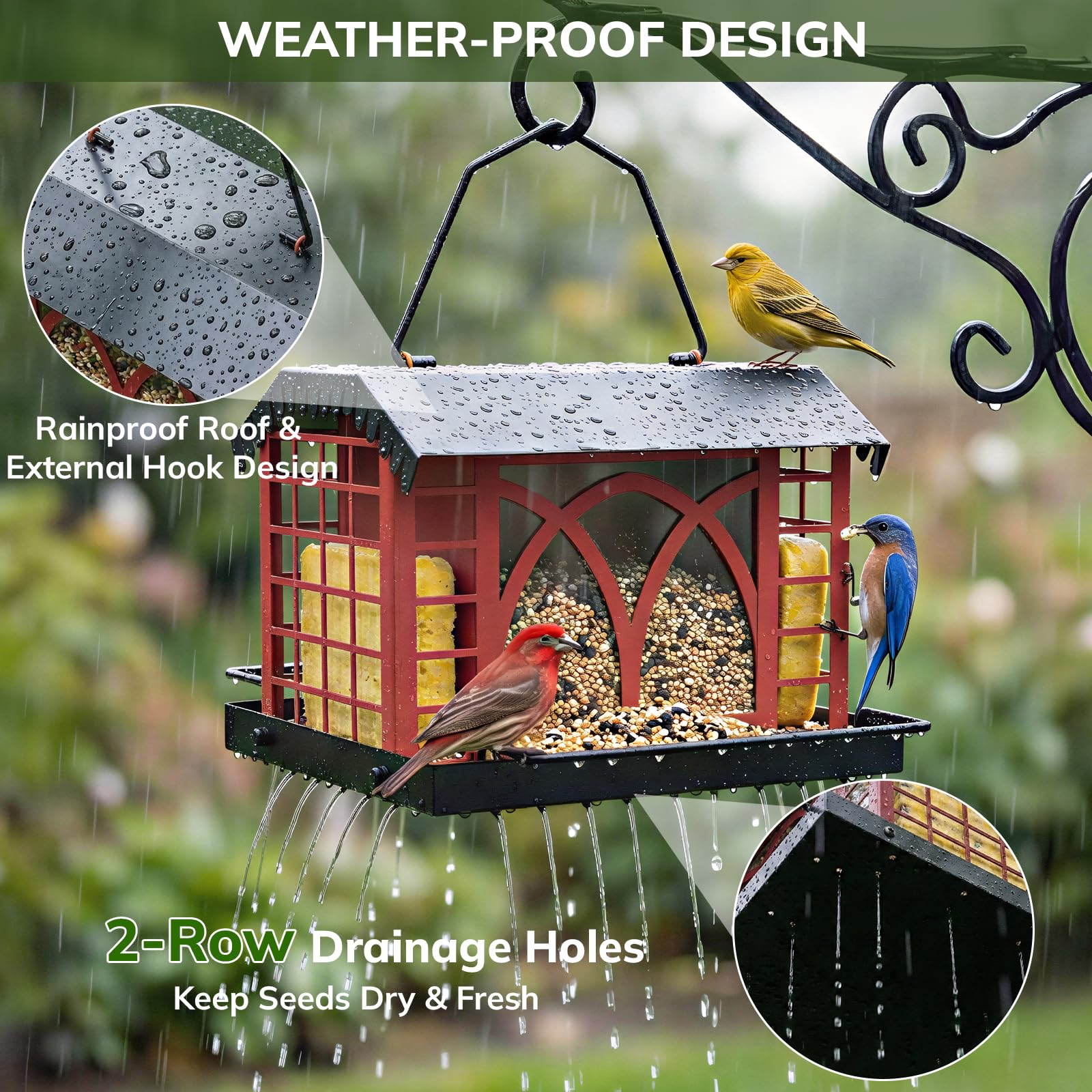 Grete Gotye bird feeder suet cages promote varied diets and attraction.