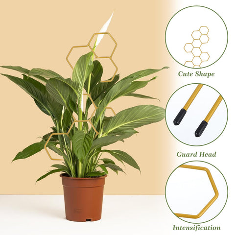 Grevosea metal trellis with gold finish resists rust and adds style.