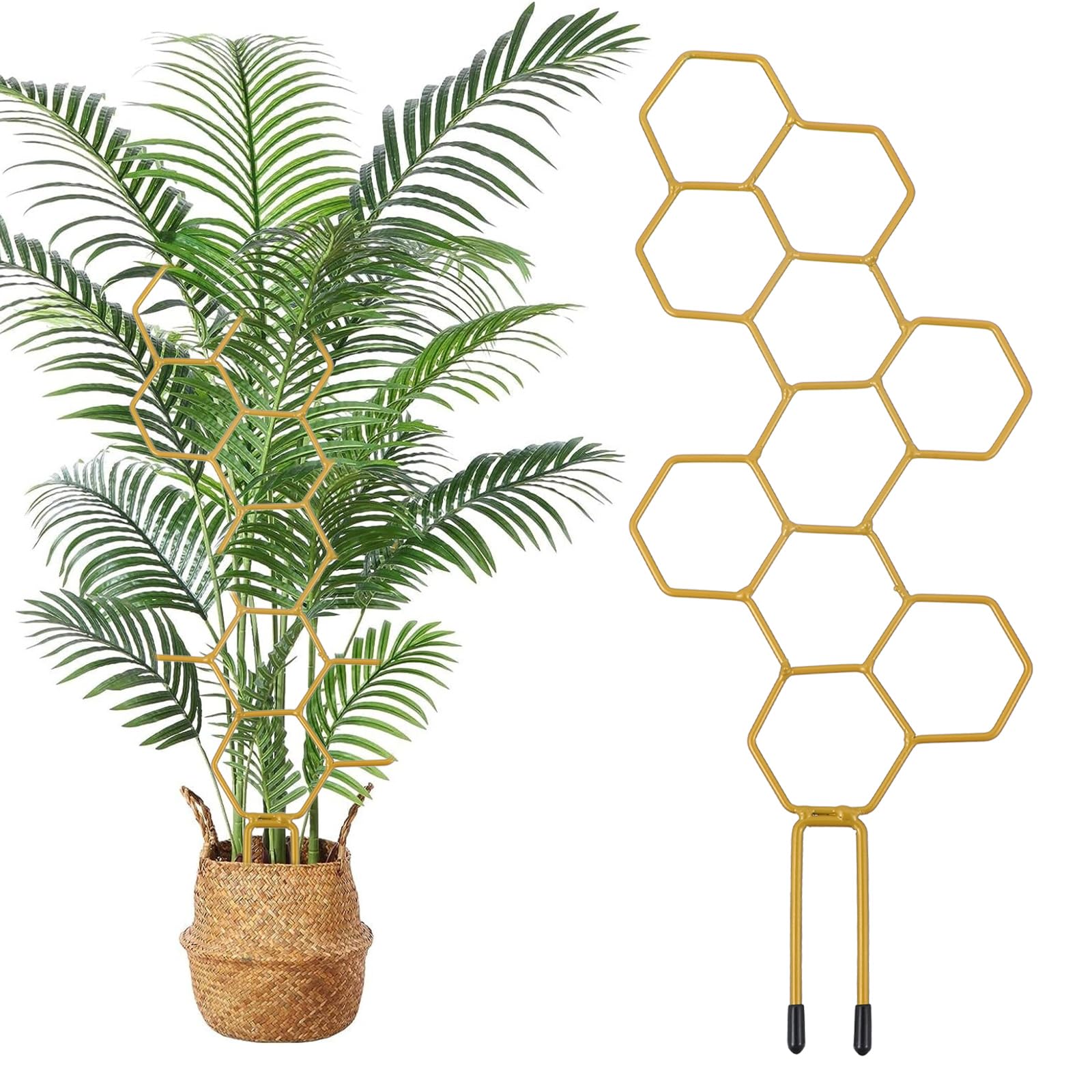 Grevosea 14in honeycomb indoor trellis supports vertical growth for potted plants.