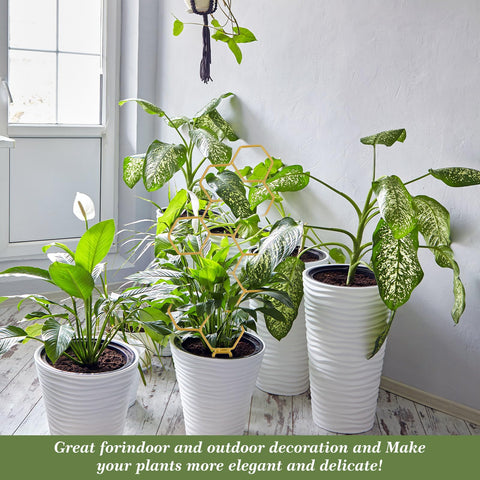 Grevosea trellis supports climbing plants and enhances garden aesthetics.
