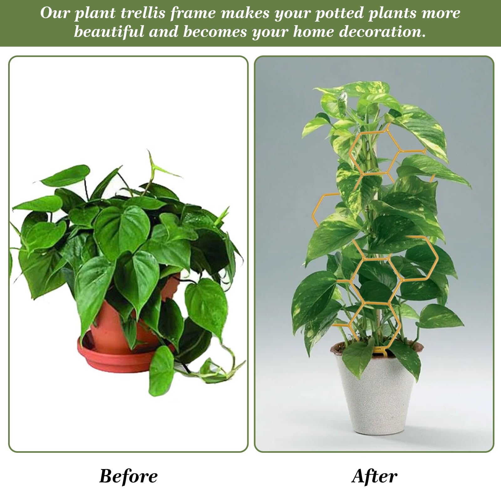 Grevosea indoor trellis adds modern decor while guiding plant growth.