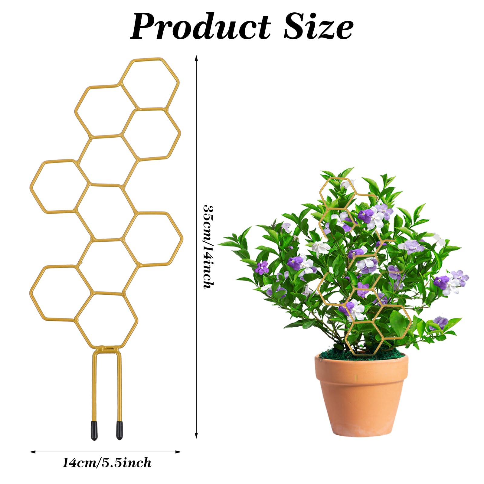Grevosea indoor trellis provides sturdy support for potted vines and flowers.