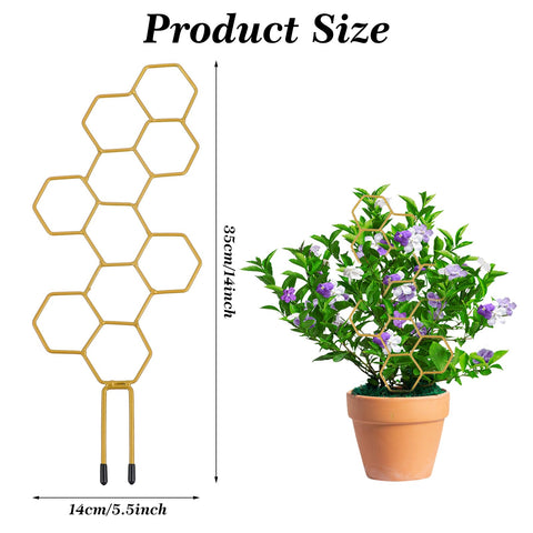 Grevosea indoor trellis provides sturdy support for potted vines and flowers.