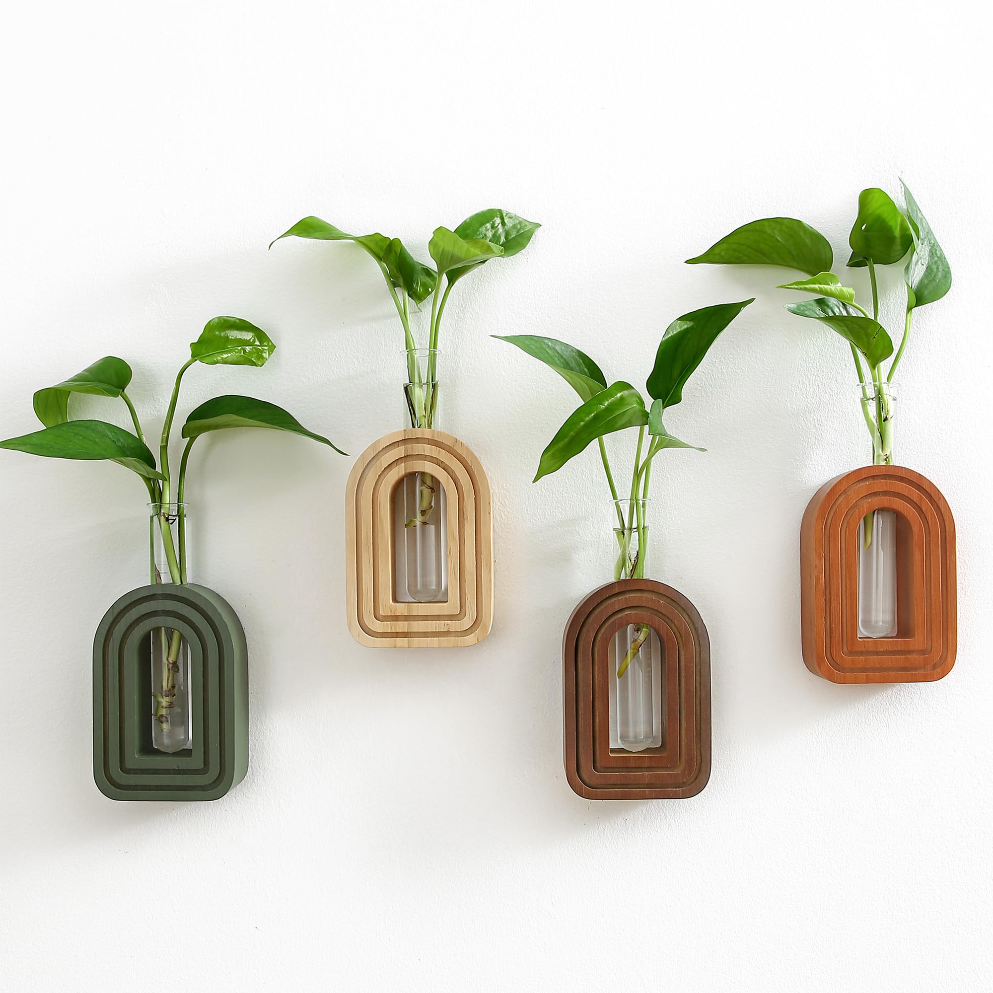 GRID FORTE wood wall arched propagation vases display an elegant hanging plant on living room wall