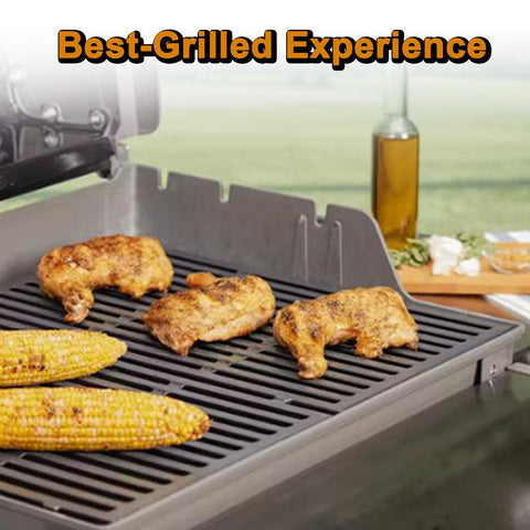 Grill Valueparts Genesis Silver B grates compatibility overview