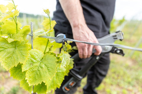 GRIPPLE joiner mounted on vineyard trellis for precise tension