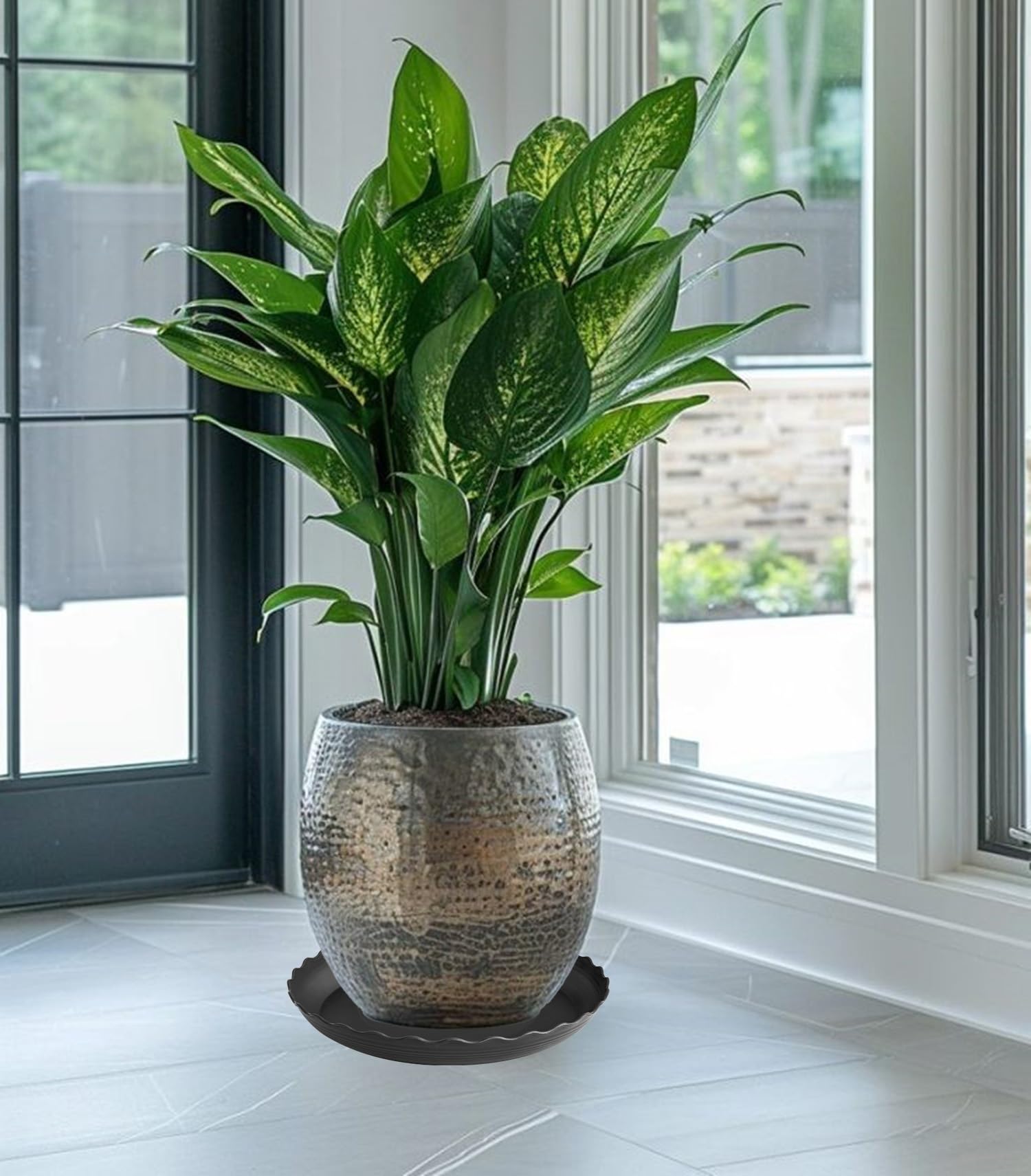 Grjoprt 6-pack 8-inch plant saucers gift-ready for plant lovers.