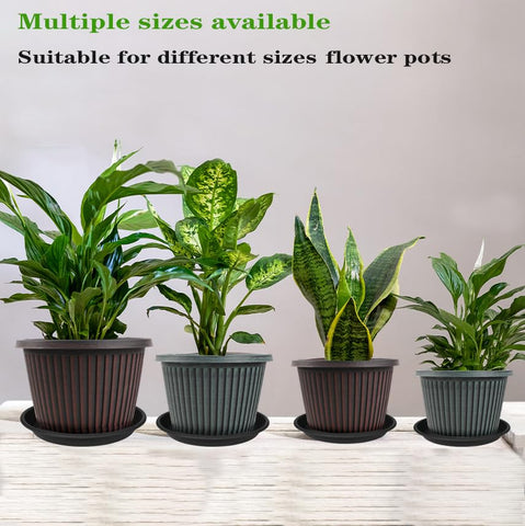 Grjoprt durable plastic plant saucer highlights sturdy construction.