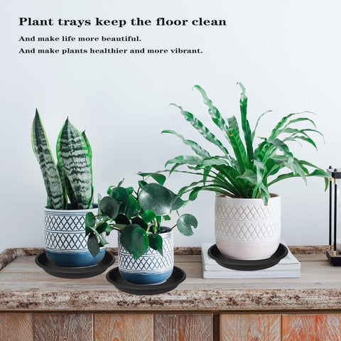 Grjoprt grow bag tray suitable for compact gardening setups.