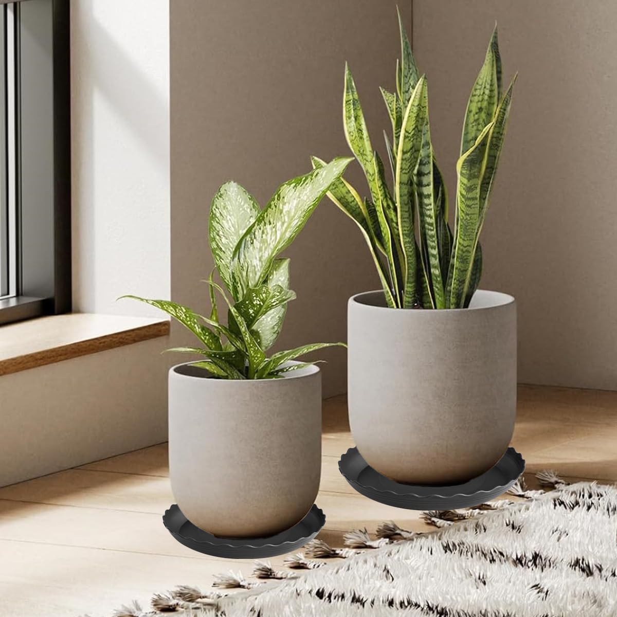 Grjoprt plant saucer for indoor use protects furniture from spills.