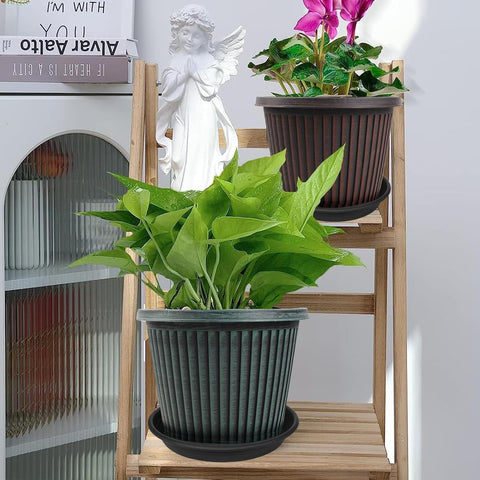 Grjoprt plant saucers 8-inch long tray, versatile for nursery pots.