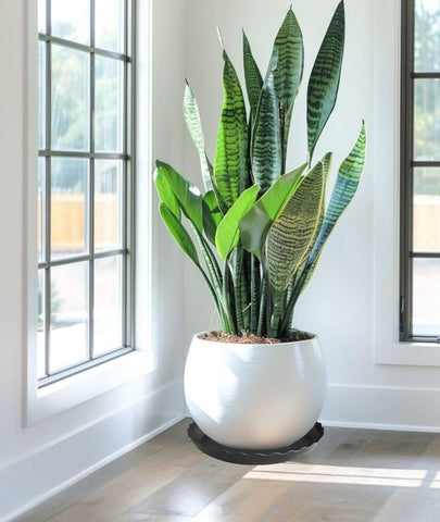 Grjoprt water-catcher tray helps keep the desk tidy during plant care