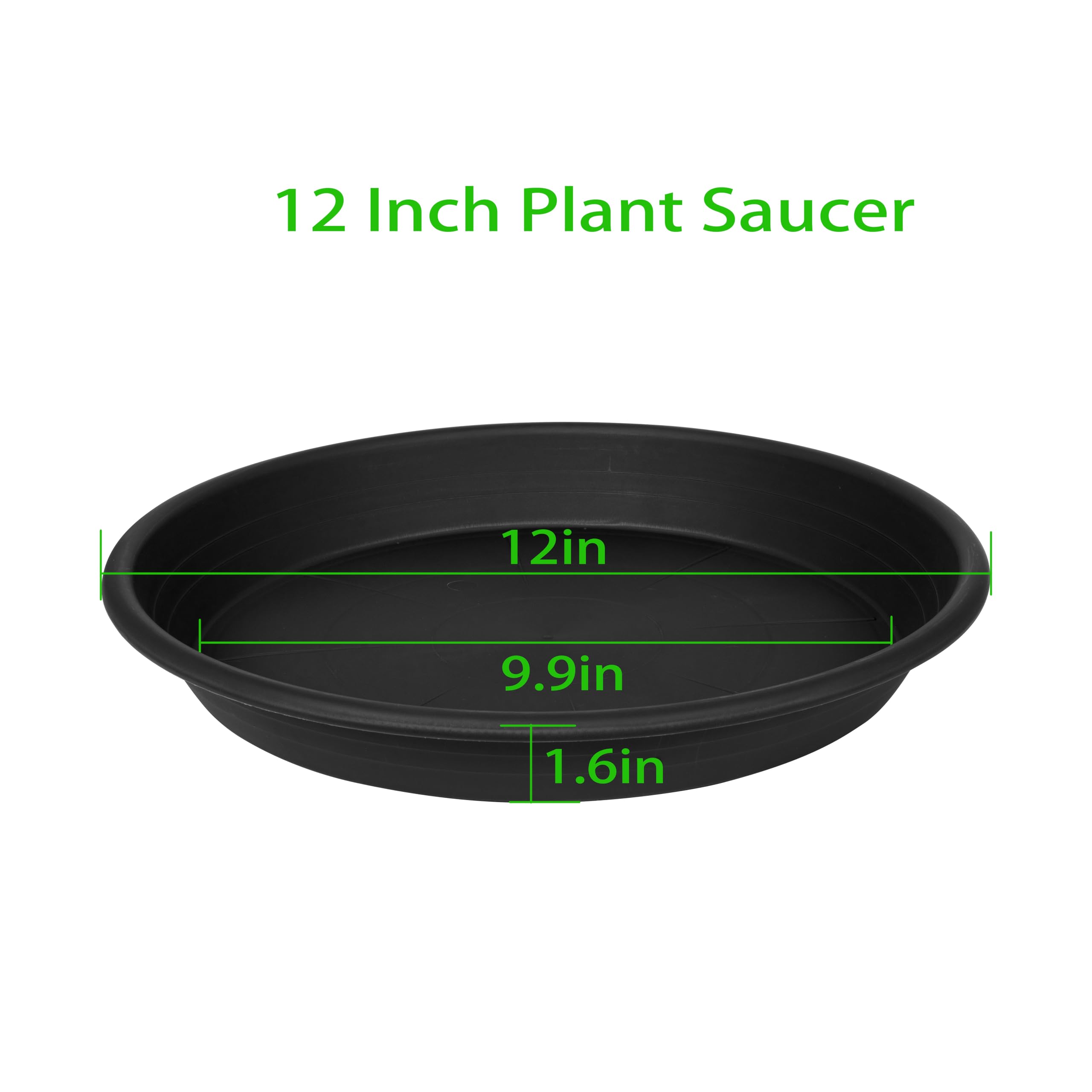 Grjoprt six-pack of saucers organized for multiple plants.