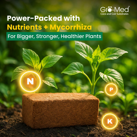 Gro-Med clean, peat-free coir offers a sustainable growing medium.