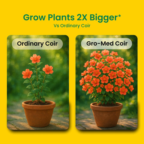 Three-times higher water retention keeps plants hydrated longer