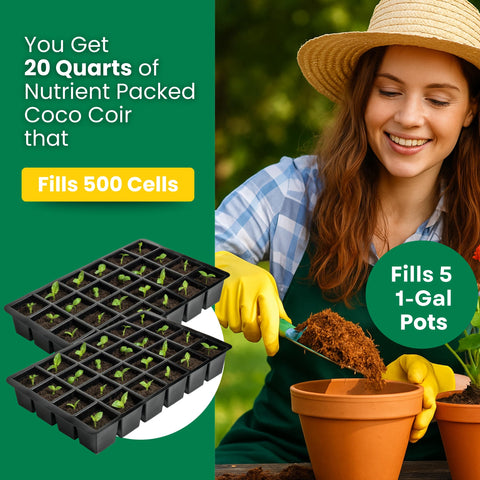 NPK-enriched Coco Coir blends nutrients for healthier seedlings