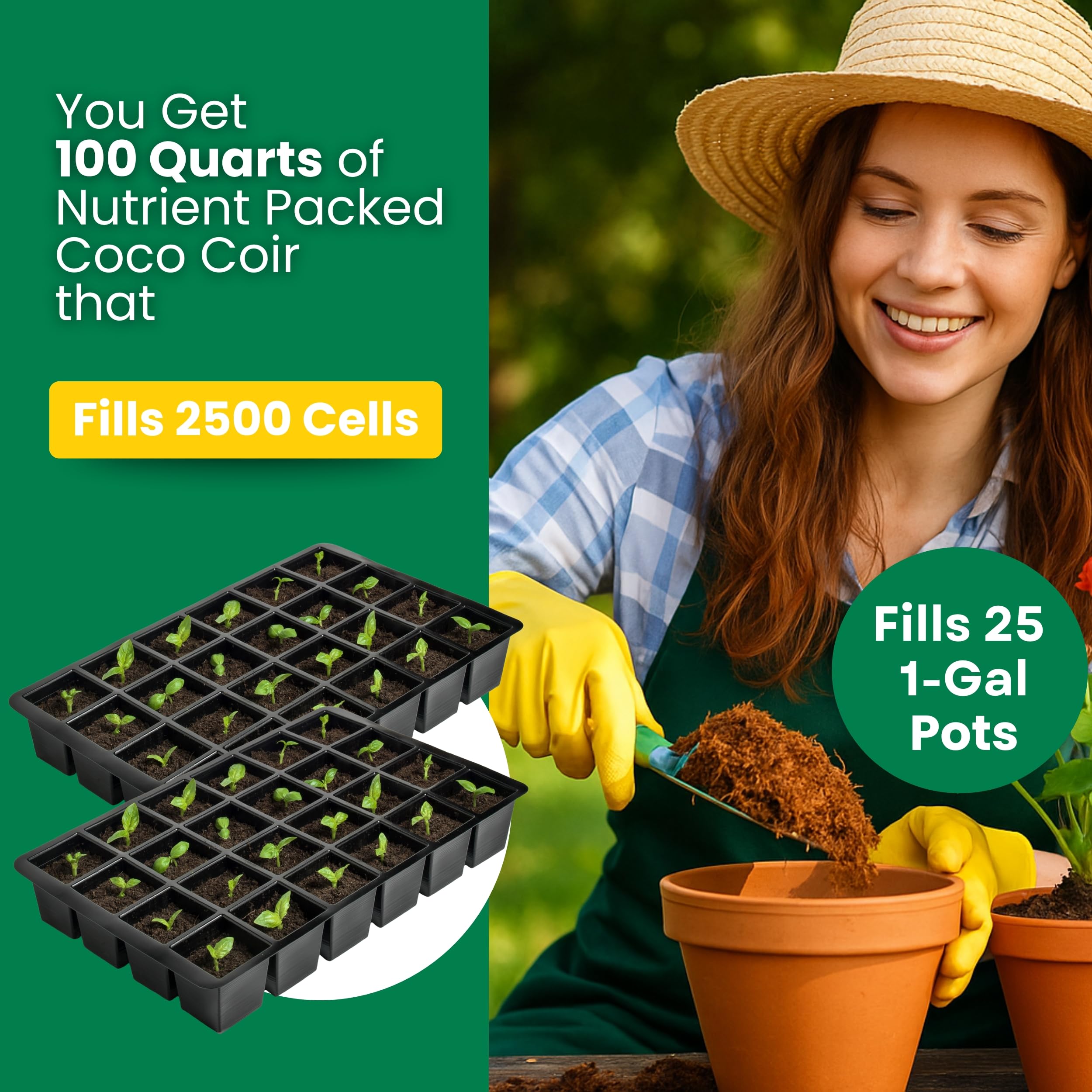 Gro-Med NPK-enriched coir supports stronger early growth.