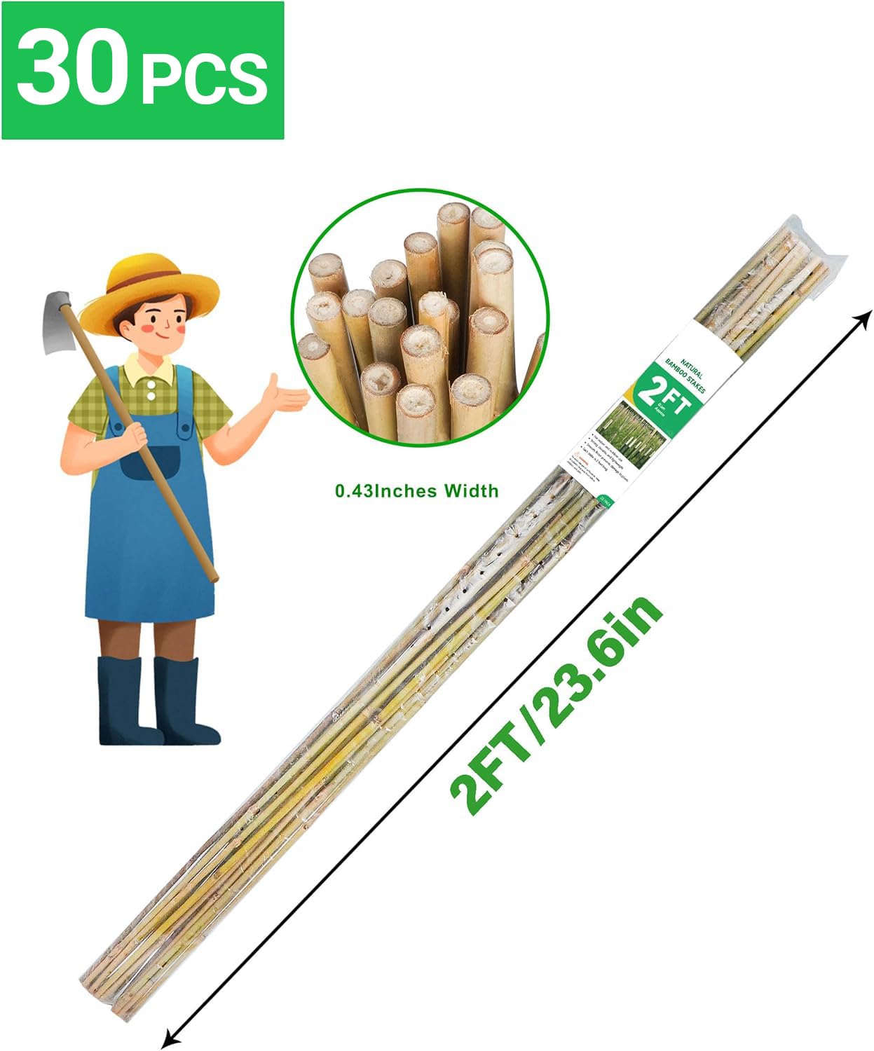 Groovboo bamboo stake for beans steadies delicate stems and climbing vines.
